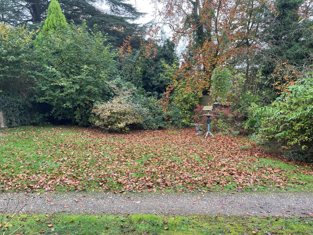 Lot: 24 - PART-POSSESSION INVESTMENT WITH POTENTIAL PRODUCING £20,820 PER ANNUM - Front garden for Cottage 3